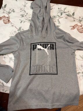 Puma Gray Performance Logo Hoodie